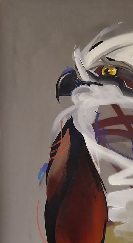 lints canvas osprey